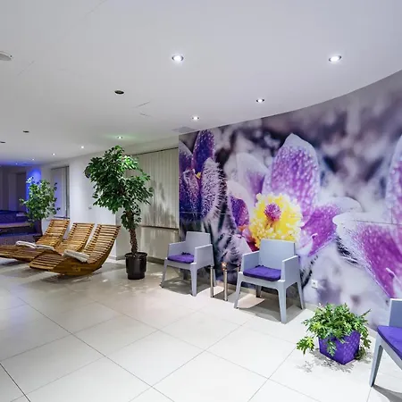 Wili Tatry Tatrzańska Łomnica